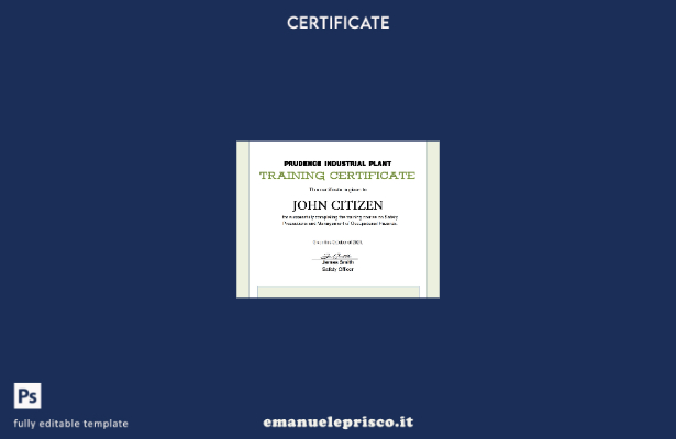 Modello di certificato di formazione USA in stile verificato in formato Word e P
