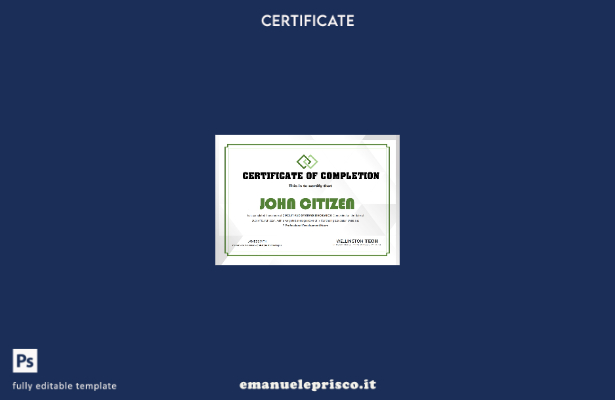 modello di certificato di esperienza USA in stile verificato
