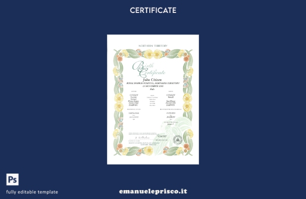 modello di certificato di nascita decorativo (commemorativo) in stile verificato