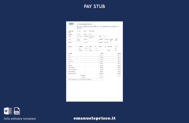 modello di busta paga Horizon Packs in stile verificato