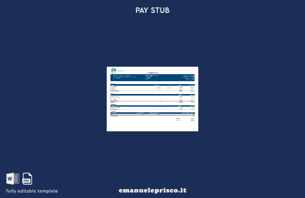 modello di busta paga della società di tecnologia dell'informazione in stile ver
