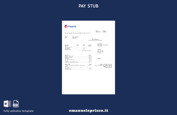 modello di società di servizi di carte di credito Flagship Merchant Services in